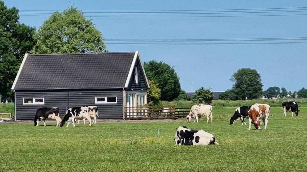 City Farmers Lodge, A Guesthouse With A Skyline View In Rural Amsterdam Extérieur photo